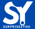 surprisee2you logo